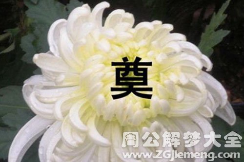 舅舅死了 舅舅死了