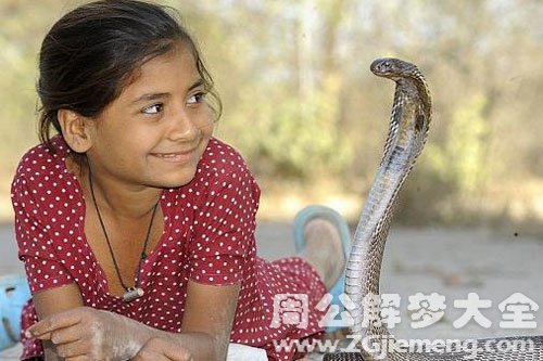 梦见蛇和自己玩 梦见蛇和自己玩