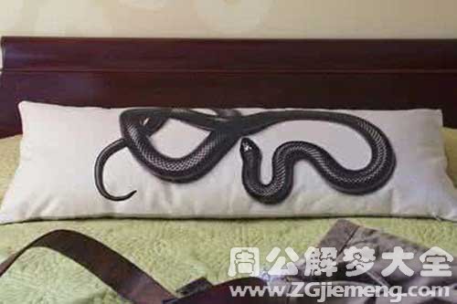 梦见枕头上有蛇 梦见枕头上有蛇