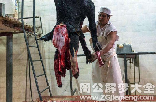 梦见牛被剥皮 梦见牛被剥皮