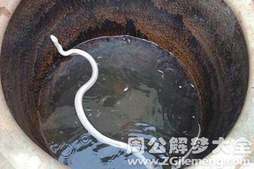 梦见被小白蛇咬 梦见被小白蛇咬