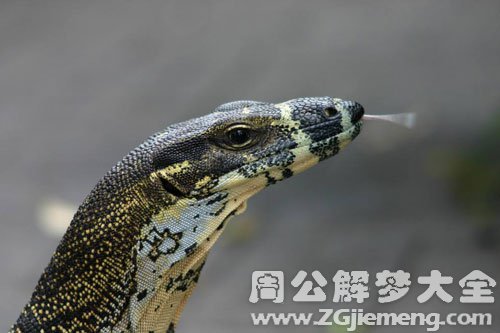 蛇咬了我一口 蛇咬了我一口