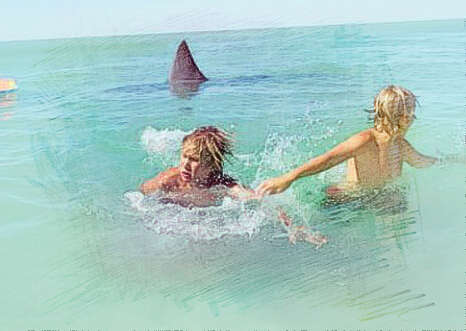 钓鲨鱼 梦见被鲨鱼追