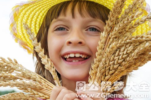 梦见拾麦穗的人 梦见拾麦穗的人