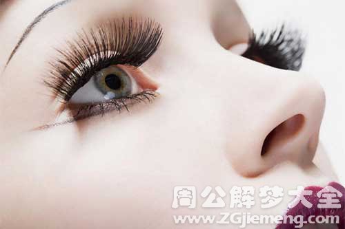 眼睫毛 眼睫毛