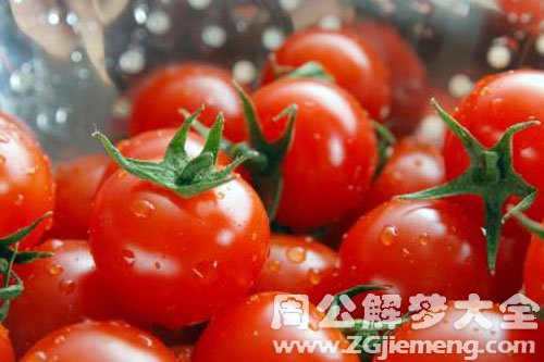 地里有好多西红柿