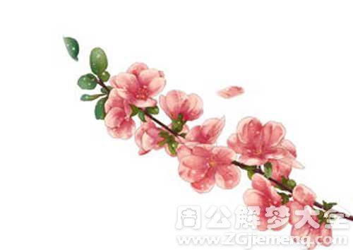 悬崖上的桃花树断了 悬崖上的桃花树断了