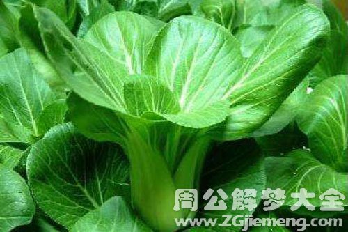 梦见小青菜 梦见小青菜