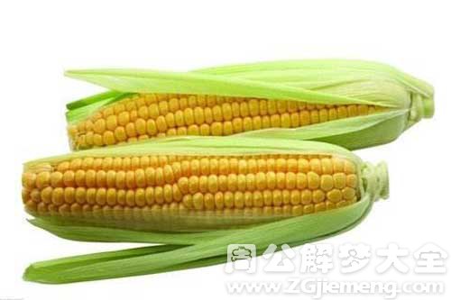 梦见玉米熟了