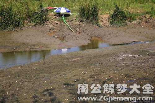 梦见家乡的河水断流 梦见家乡的河水断流