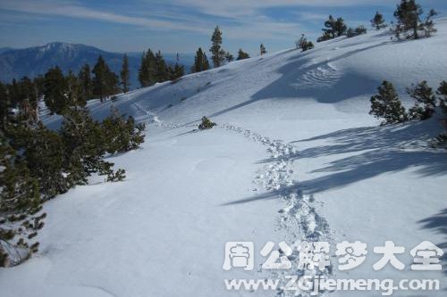梦见雪地开路