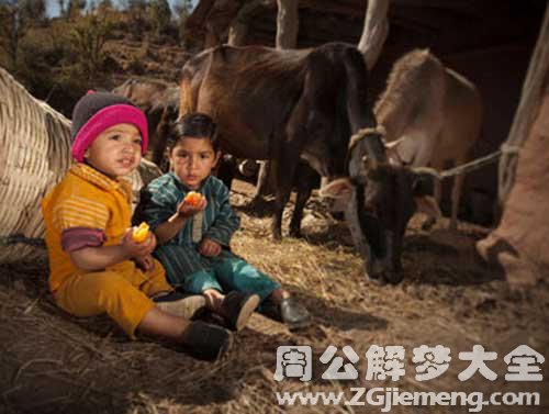 梦见朋友在垃圾堆里吃东西 梦见朋友在垃圾堆里吃东西