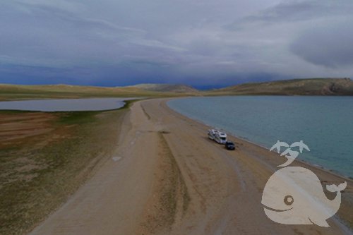 梦见路上好多水 梦见路上好多水