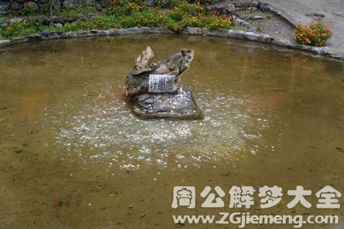 梦见臭水沟里有钱 梦见臭水沟里有钱