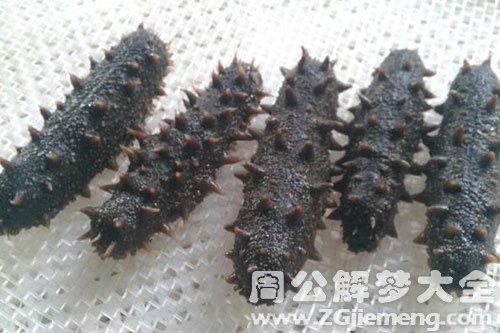 梦见很多海参 梦见很多海参