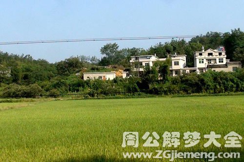 梦见农村 梦见农村