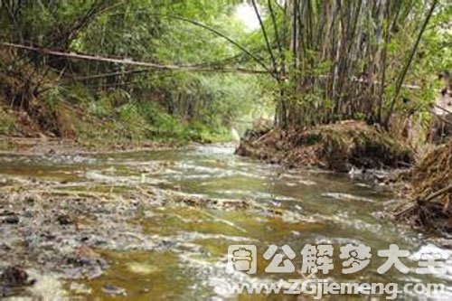 掉入臭水沟.jpg 掉入臭水沟.jpg