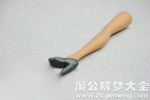 梦见森林里有断肢