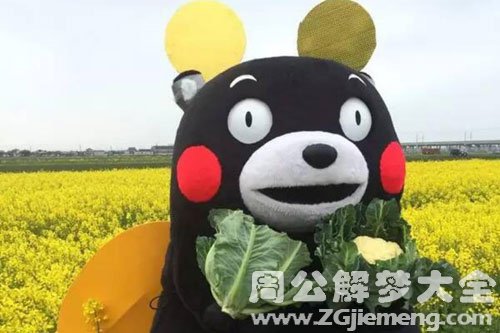 梦见吉祥物 梦见吉祥物