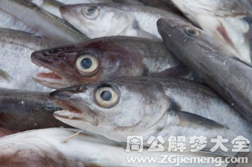 梦见鱼死了很多