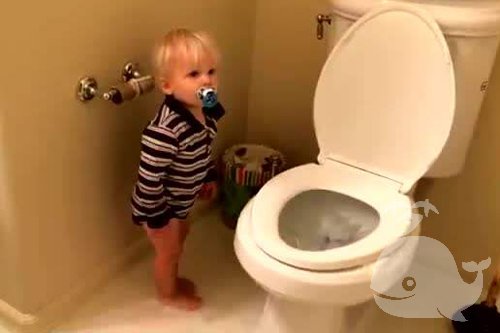 梦见解大便 梦见解大便