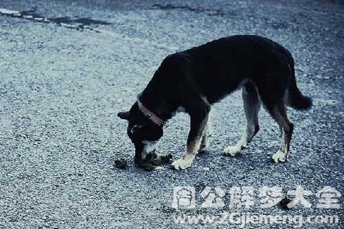梦见吃大粪 梦见吃大粪