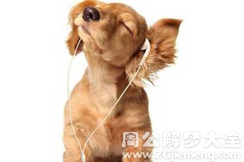 梦见养动物 梦见养动物