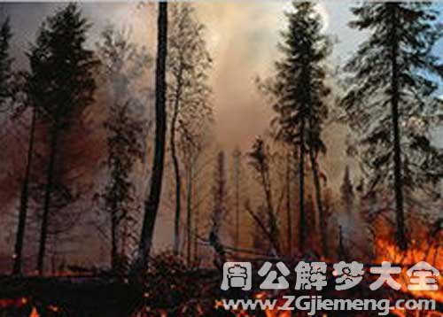 梦见树林冒黑烟