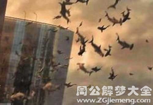 梦见飞翔的鲨鱼