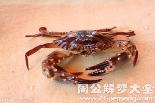 螃蟹 螃蟹