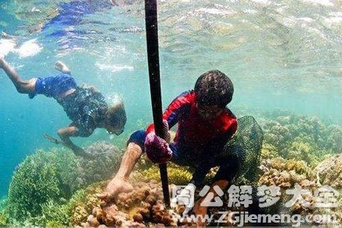 孩子掉海里 孩子掉海里