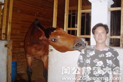 梦见马咬人 梦见马咬人
