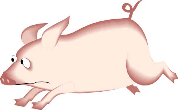 1947年属猪的人2016年运程