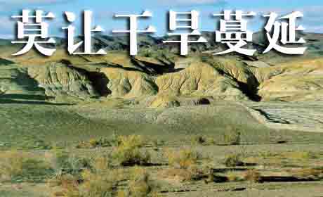 世界防止荒漠化和干旱日是什么节?世界防止荒漠化和干旱日是哪天?世界防止荒漠化和干旱日的来历