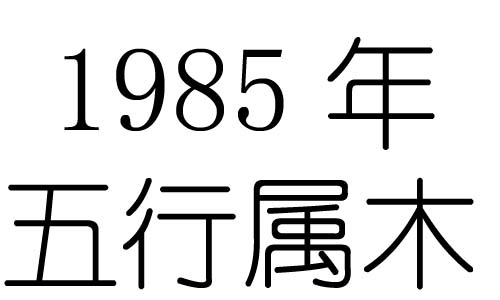 1985年五行属什么?1985年出生是什么命?