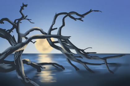 卧室风水需要注意哪些的误区 卧室风水需要注意哪些的误区