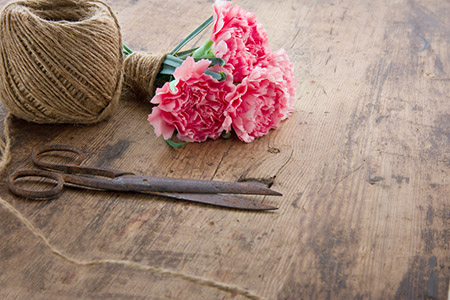 养金鱼风水,养金鱼