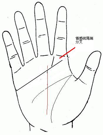 手相怎么看财运,财运不会太差的六种手相 手相怎么看财运,财运不会太差的六种手相