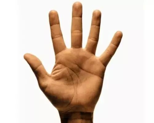 手相怎么看财运,财运不会太差的六种手相 手相怎么看财运,财运不会太差的六种手相