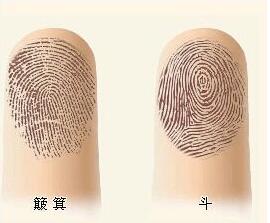 揭秘没有手指螺纹好不好?