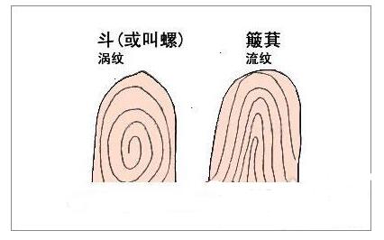什么是手指螺纹，手指螺纹图解