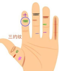 必看的天生富贵命女手相图 必看的天生富贵命女手相图