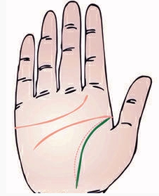 生命线弯曲不圆润表示什么？