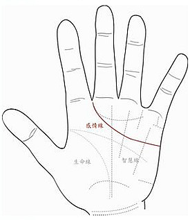感情线延伸到指缝的影响？