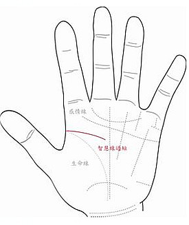 智慧线很短或中断,代表没脑筋吗?