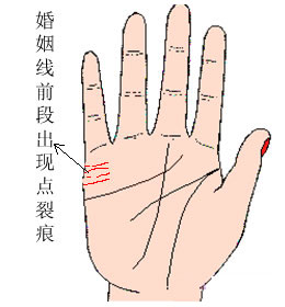 有四条婚姻线预示着什么?