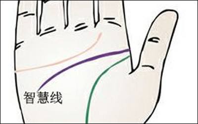 智慧线横线长代表着什么? 智慧线横线长代表着什么?