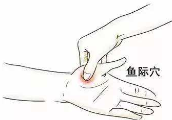 鱼际穴 鱼际穴