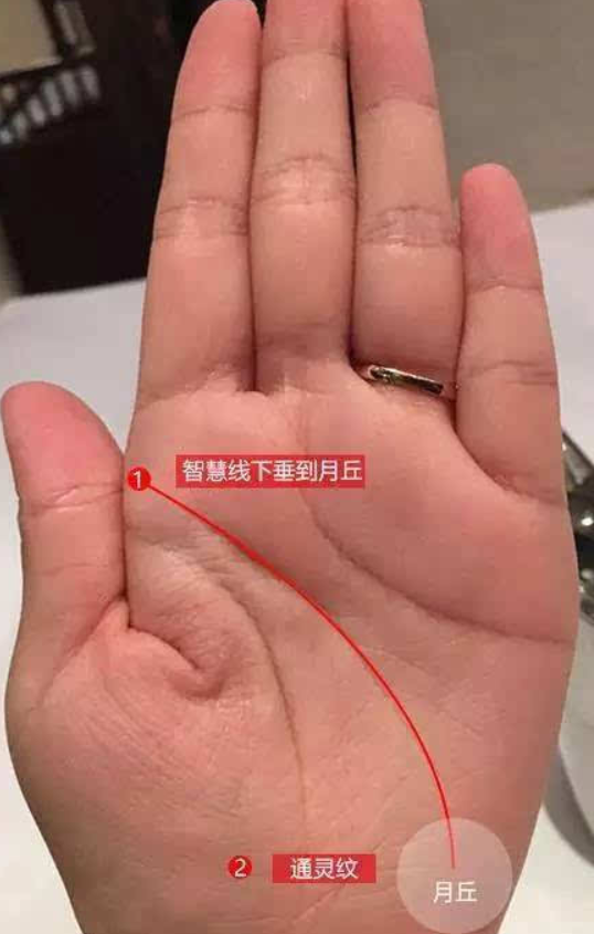 看看你手上有“通天纹”吗?