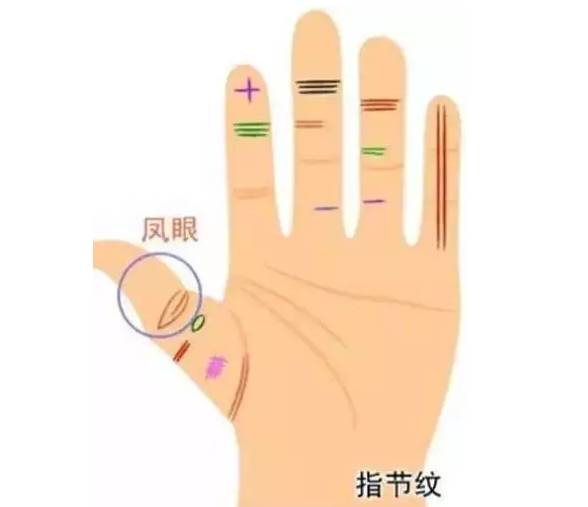 偏财运指的就是会有意想不到的钱财,人们通称为横财。很多人说手指比较灵活的人脑部都是比较灵活的,财运的好坏大多数也都和手相有关系,下面来详细解析手相看你财大或财小,和偏财运极旺的手相。 手上多条竖直的财运线 对于财运线而言,往往与个人的财运收获、运气、成功具有一定的关系,因此对于偏财运而言也要观察财运线的手纹状况。对于财运线的位置而言实在手掌无名指下方出现了竖向的手纹可以称之为财运线。因此如果大家发现在自己的手掌上,出现了多条竖直的财运线,则往往象征一个人的财富收获不仅依靠正财,同时也依靠偏财。 一夜暴富,这些人偏财运极旺,有意外之财!你知道是哪些人吗? 手掌三丘饱胀 所谓“手掌三丘”是指在手掌的靠近手指的位置,往往有三个像小山丘一样的鼓包。它们从中国掌相学中分别被称为“离丘”、“巽丘”和“坤丘”,因此如果一个人的这三个掌丘皆饱满并带有微红色,则象征此人的财运状况比较理想。不但容易因为正财运而财运上升,同时偏财运也是稳中有升的状态,遇到的机会和好运气均强于他人。 一夜暴富,这些人偏财运极旺,有意外之财!你知道是哪些人吗? 1旺运型 食指和中指之间有隙缝的人,虽然本身不喜欢受到他人的束缚,但因思考细微、慎密、做事勤劳、努力,所以将来必能出人头地。而有所成就,当然财富也会旺。 一夜暴富,这些人偏财运极旺,有意外之财!你知道是哪些人吗? 2勤俭型 在大拇指的第二关节,无论是横纹还是直纹,纹路越多表示积攒的财富越多。这种人多靠勤俭致富。 3异缘型 一般人在食指上面有一条横纹叫做指节纹,如果有三条指节纹的话叫做三约纹。这种人一生中不缺钱,往往都是由桃花来的,例如男人可能娶到很有钱的老婆,或者女孩子会拿钱给他,女性会找到有钱的男人。 一夜暴富,这些人偏财运极旺,有意外之财!你知道是哪些人吗? 4理财型 在手掌感情线上方有一条平行的纹叫做理财纹。有这种理财纹的人通常是替老板、上司理财,或者是大公司里面的会计或者出纳,通常帮人人家理财,当然自己也会投次理财,因此不会缺钱用。 一夜暴富,这些人偏财运极旺,有意外之财!你知道是哪些人吗? 5商业型 食指根部木星丘发达,气色血色良好,财运必佳。木星丘饱满的人,财运必然旺盛,这种人大多是商业发家。 一夜暴富,这些人偏财运极旺,有意外之财!你知道是哪些人吗? 6暴发型 生命线与智慧线起点,有上升线的人,将会发财。或者是事业线出现支线上伸到水星丘,将能发大财。这种人多半是出现各利机遇而突然发财。 一夜暴富,这些人偏财运极旺,有意外之财!你知道是哪些人吗? 7偏财型 小指根部水星丘与无名指根部太阳丘之间的部位如有出现十字纹,又称灵感线或神秘十字纹,有这条线的人,第六感发达,具有预测功能,喜欢研究玄秘深奥事物,有才志,有见解,偏财运也极好。 一夜暴富,这些人偏财运极旺,有意外之财!你知道是哪些人吗? 大拇指 拥有厚实拇指的人,用钱的观念十分实在,不会将钱花在过份强调感官享受的事情上。如华丽的衣服和美食,在这种人的眼中,是极为不实际的。这样的人,对生活的要求很简单,为人也相当务实,说一是一,不会有太多的心机。平而薄的拇指,与厚实的拇指正好具有相反的性格。这样的人不喜欢一板一眼的日子,性格具有神经质的特性。如果拇指又平又短,对于理财则会有过于谨慎保守而变得优柔寡断的情形出现。 一夜暴富,这些人偏财运极旺,有意外之财!你知道是哪些人吗? 食指 食指在手相学中,通常意味着支配欲、权力欲与一个人的进取心,所以食指较长的人,性格也比较顽强,相当具有企图心。食指过长,性格偏强硬、爱出锋头。财大气粗的性格,往往很难存得住钱。这种类型的人,就算钱赚得多,花得也多,所以节制挥霍的欲望和消费习惯,是根本之道。 一夜暴富,这些人偏财运极旺,有意外之财!你知道是哪些人吗? 中指 中指是四根手指中最长的,而且位于五根手指头的中心,象征一个人的命运。中指如果生得过短,则是缺乏耐性和冲动的表示。这种人必须好好约束和规范自己的情感,不然很容易做出会令自己后悔莫及的事。在金钱的投资打理态度也是倾向于盲从跟进的态度。如果能获利纯属幸运,要是全盘皆输,将会从此一蹶不振。 一夜暴富,这些人偏财运极旺,有意外之财!你知道是哪些人吗? 无名指 无名指象征着一个人的艺术才华、人缘和财富。在四根手指当中,无名指的长度仅次于中指,一看到无名指,往往会令人想到和创作天份相关的事物,所以认定它主掌一个人的才华、人缘和财富,是手相学家一致同意的。无名指长的人好赌,也是件令人头疼的事。这样的人,将钱视为身外之物,他之所以赌钱,不是因为贪财,而是喜欢追求刺激,加上个性不服输所致。 一夜暴富,这些人偏财运极旺,有意外之财!你知道是哪些人吗? 小拇指 小指长的人,具有雄辩之才,语文的表达能力极佳,而且喜欢言谈,个性上很强势。不过缺点在于言多必失,而且容易因言语得罪人,所以结怨招惹他人的可能性也大。另外也要小心使用权谋、工于心计,所以虽然能拥有事业和财富,但人缘却不见得好。